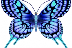 blue-butterfly-tattoo