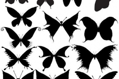 butterfly_tattoos_design_017